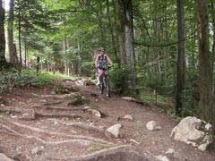 VTT-Strecke im Wald