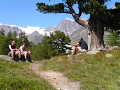 Rast vor Zmutt