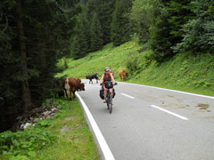 Aufstieg Silvretta